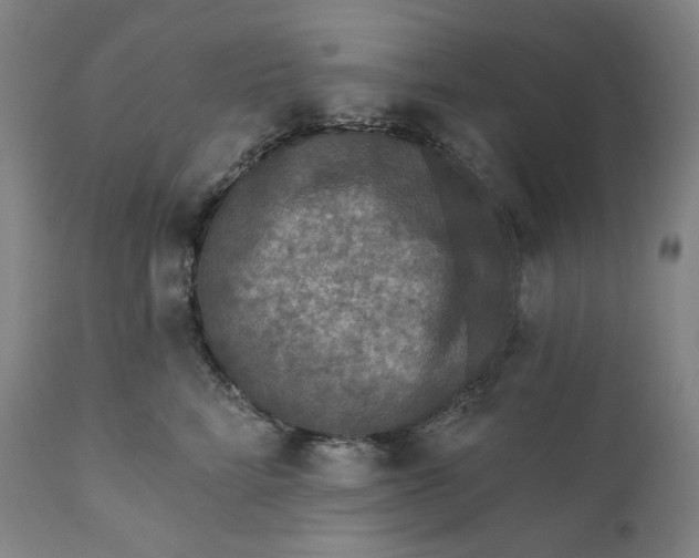 X0000111640712200908071342