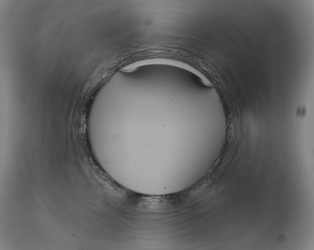 X0000111640713200908071342