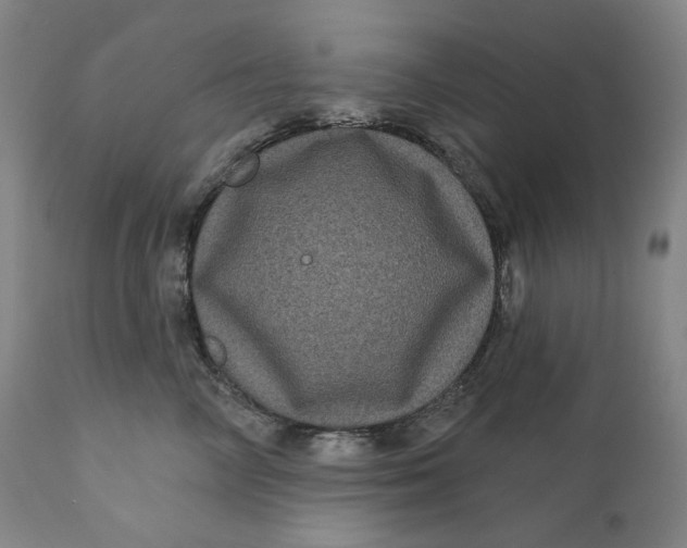 X0000111640714200908071342