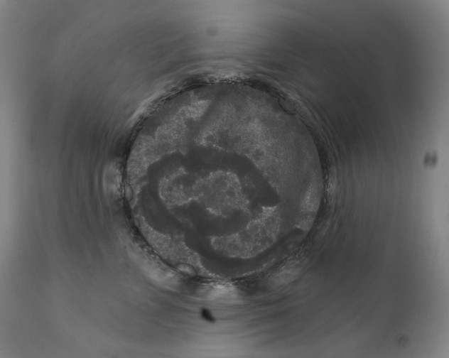 X0000111640715200908071342