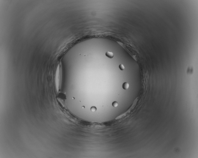 X0000111640716200908071342