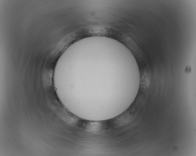 X0000111640717200908071342