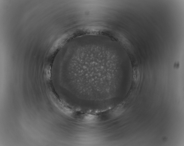 X0000111640718200908071342