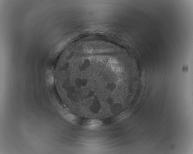 X0000111640719200908071342