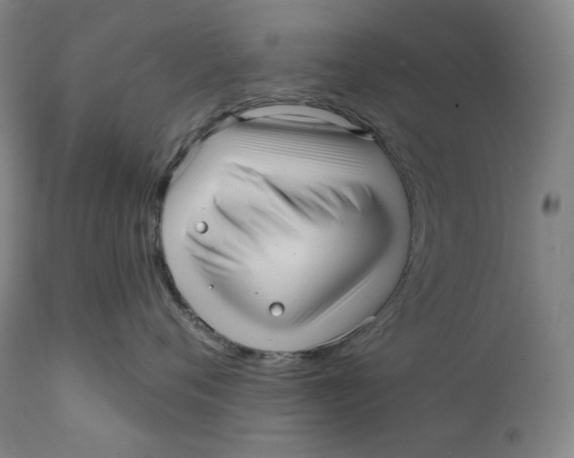 X0000111640720200908071342