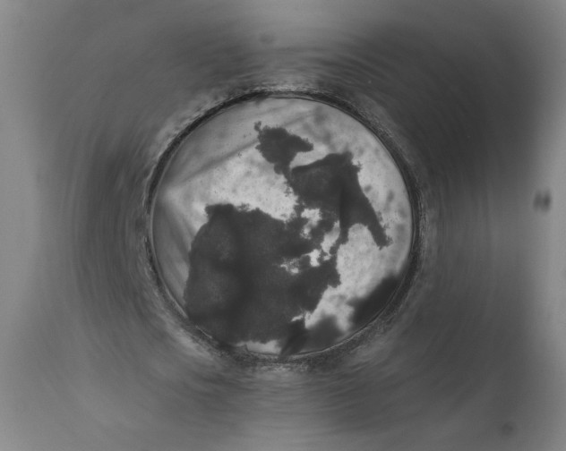 X0000111640721200908071341