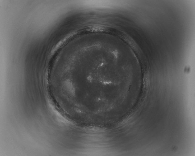 X0000111640722200908071341