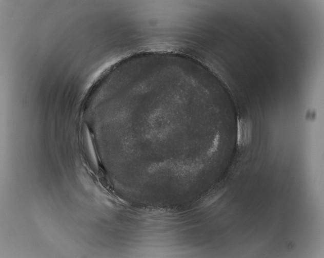 X0000111640723200908071341