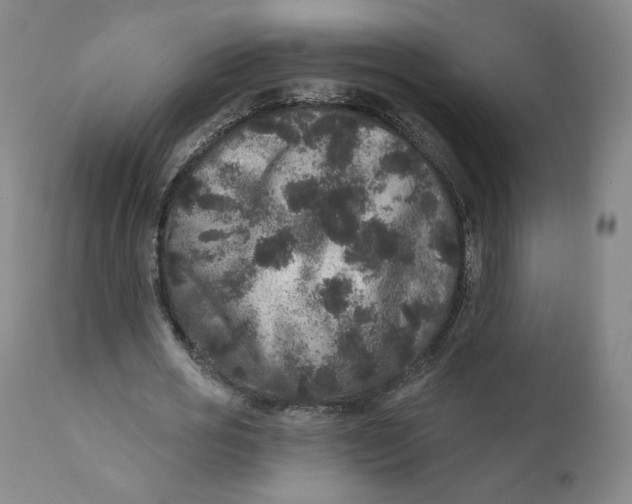 X0000111640725200908071341