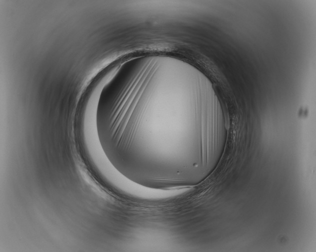 X0000111640726200908071341