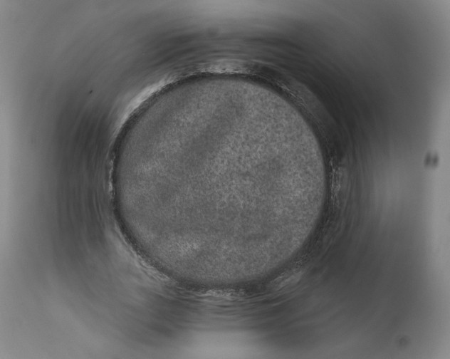 X0000111640727200908071341