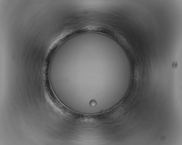 X0000111640730200908071341