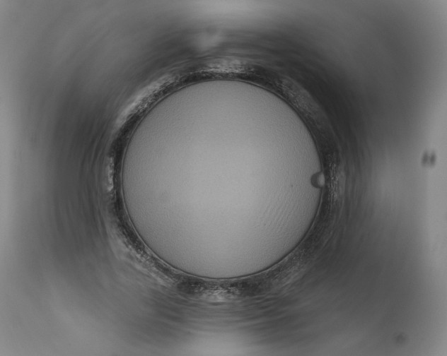 X0000111640731200908071341