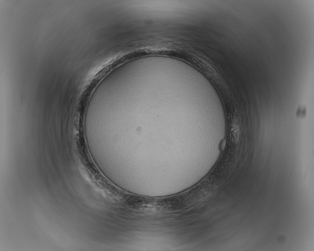 X0000111640732200908071341