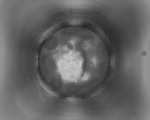 X0000111640733200908071341