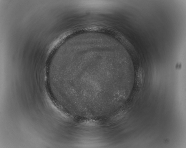 X0000111640734200908071341