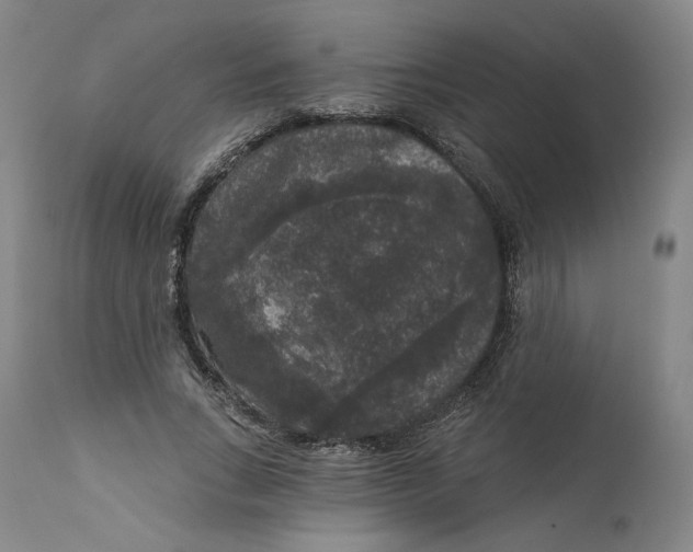 X0000111640735200908071341