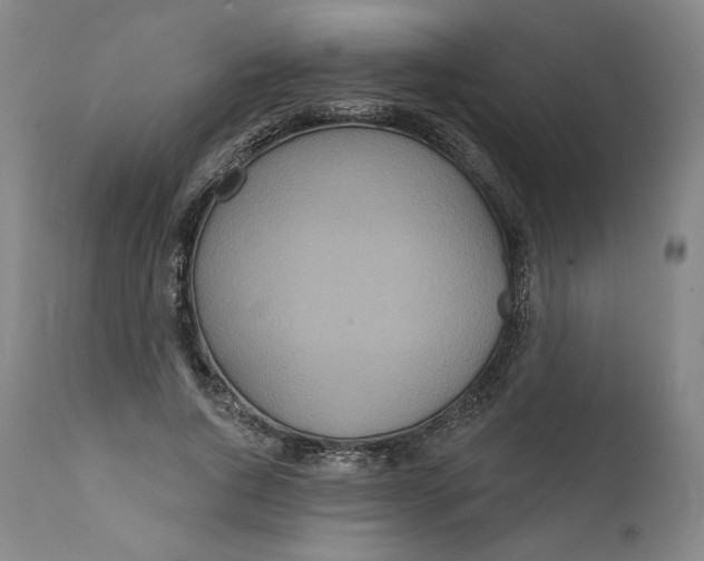 X0000111640736200908071341