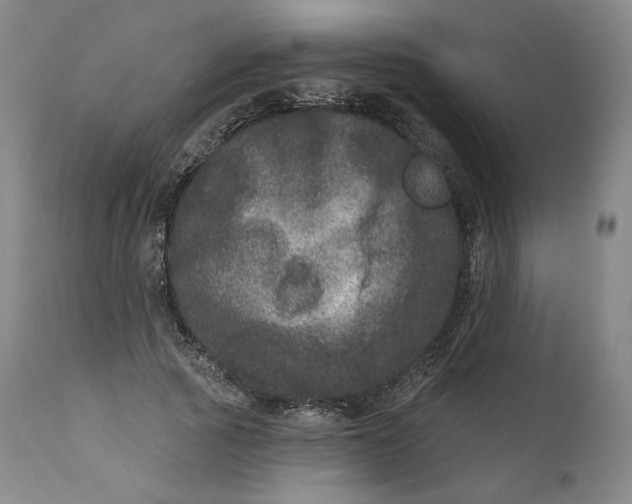 X0000111640737200908071341