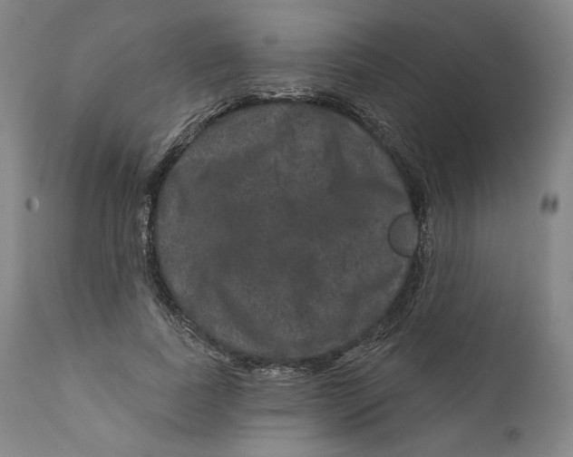 X0000111640739200908071341