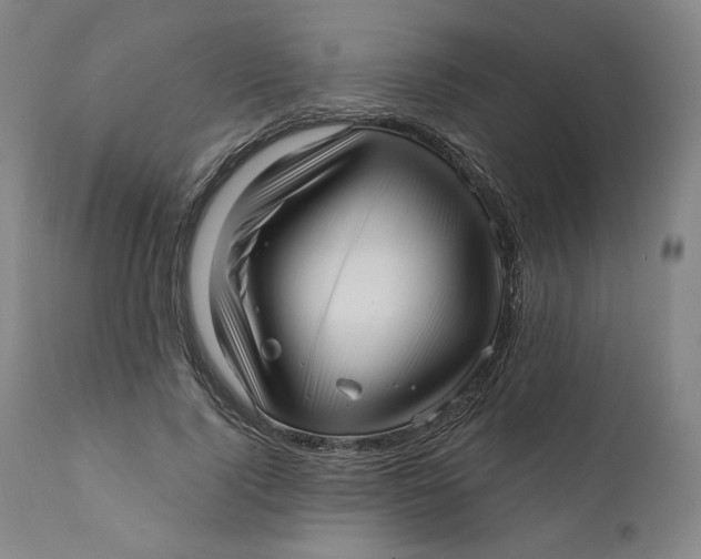 X0000111640740200908071341