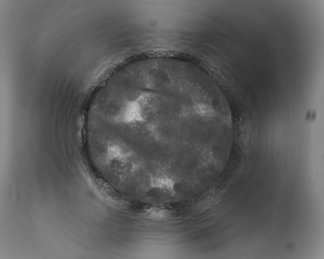 X0000111640742200908071341