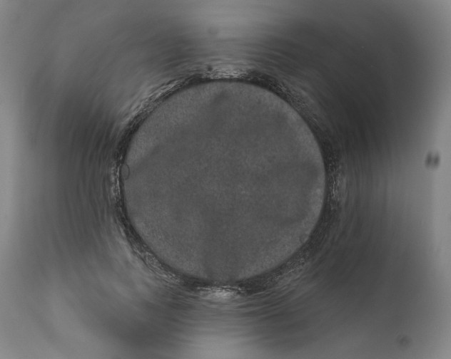 X0000111640743200908071341