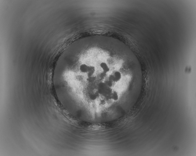 X0000111640745200908071341