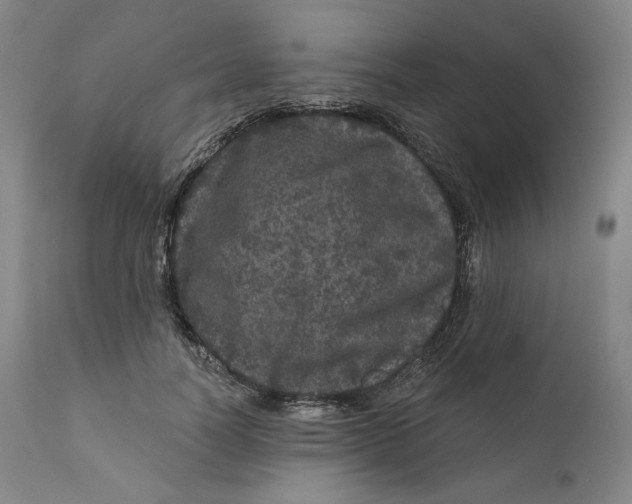 X0000111640746200908071341