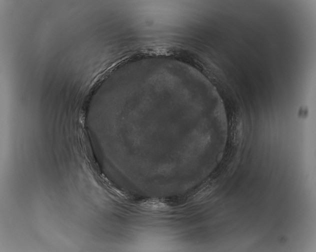 X0000111640747200908071341