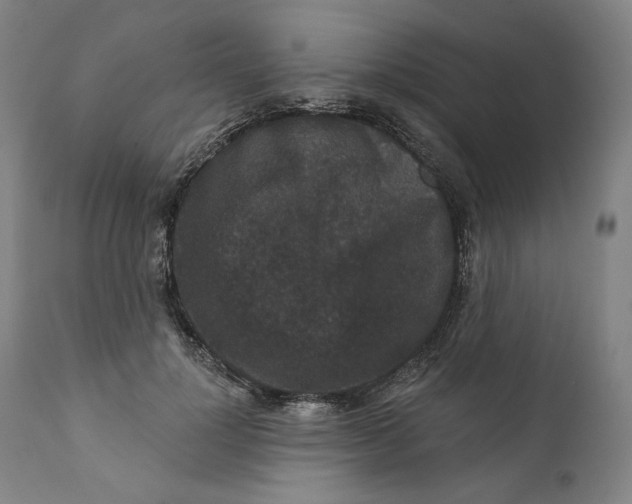 X0000111640748200908071341