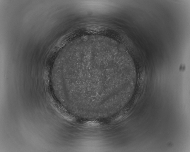 X0000111640749200908071341