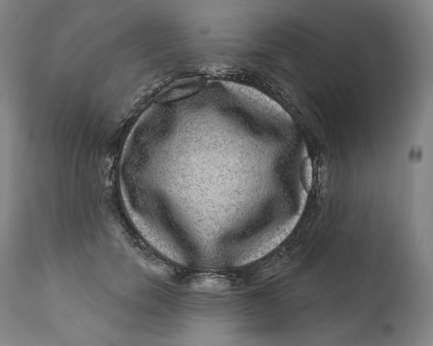 X0000111640750200908071341