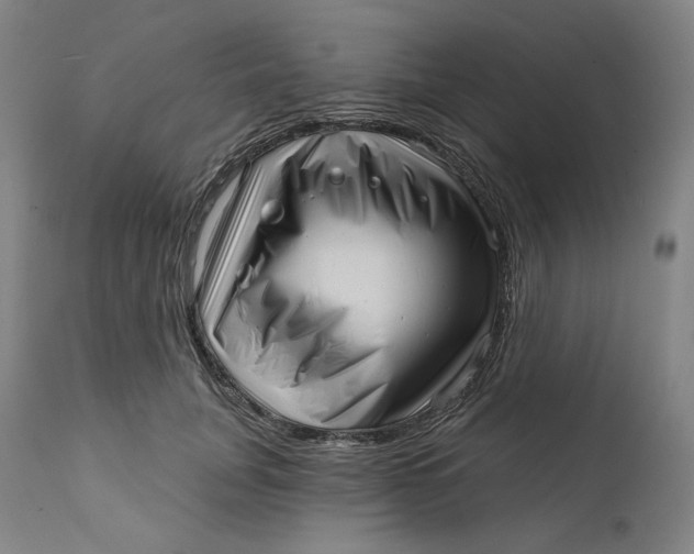 X0000111640751200908071341