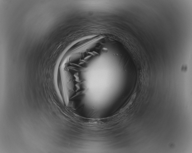 X0000111640752200908071341