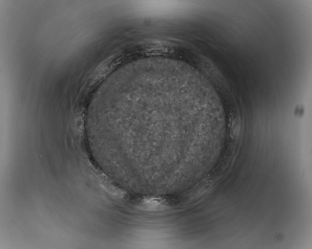 X0000111640753200908071341