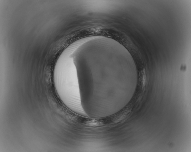 X0000111640754200908071341