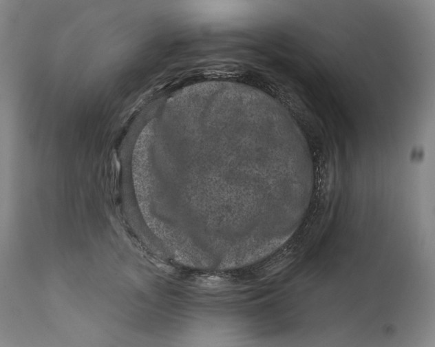 X0000111640755200908071341