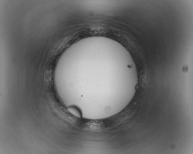 X0000111640756200908071341