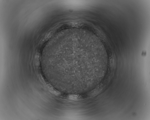 X0000111640757200908071341