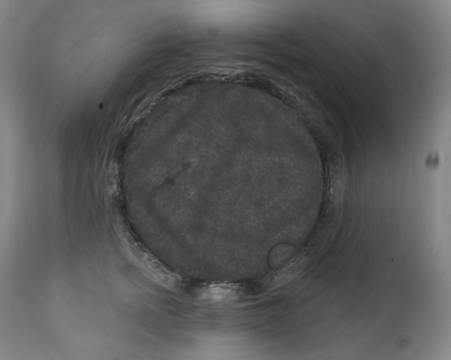 X0000111640758200908071341