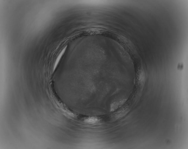 X0000111640759200908071341