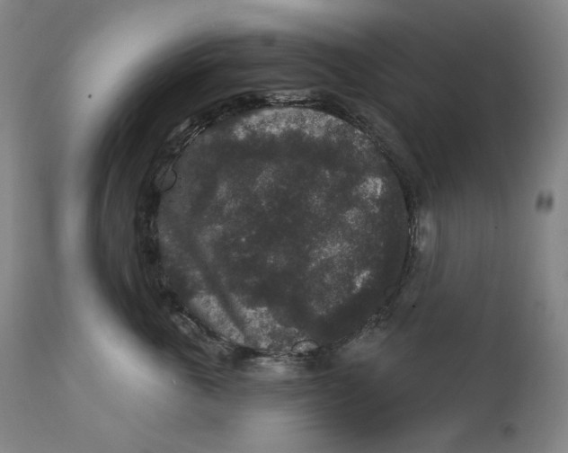 X0000111640763200908071341