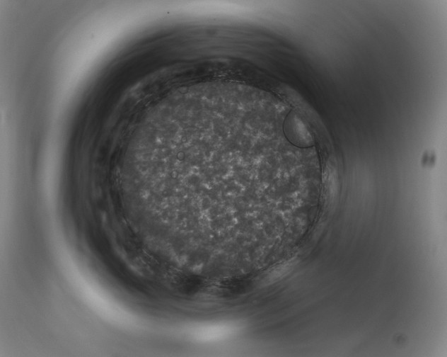 X0000111640765200908071342