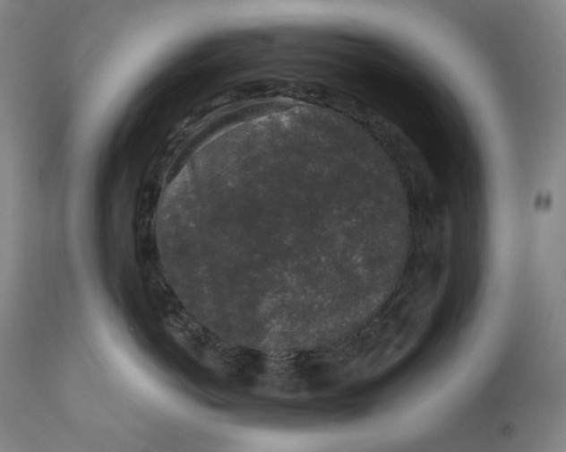 X0000111640766200908071342