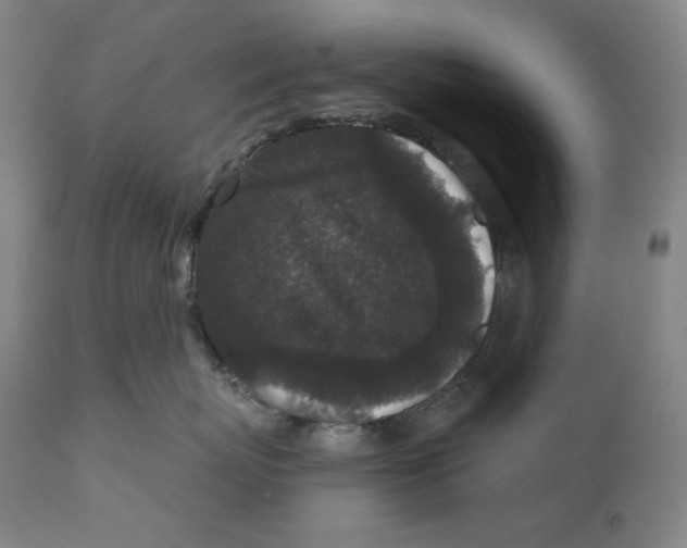 X0000111640767200908071342