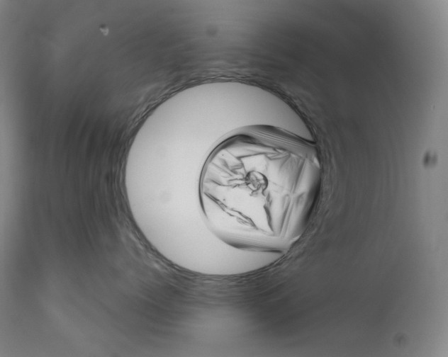 X0000111640768200908071342