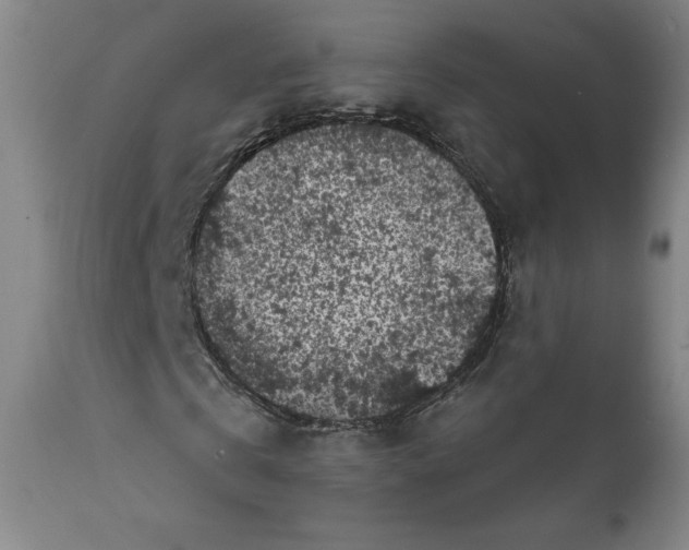 X0000111640769200908071341