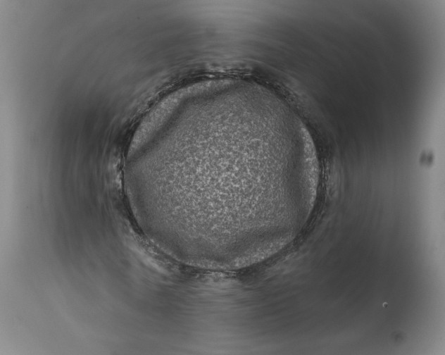 X0000111640770200908071341