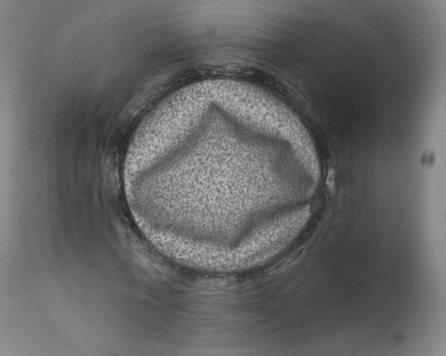 X0000111640771200908071341